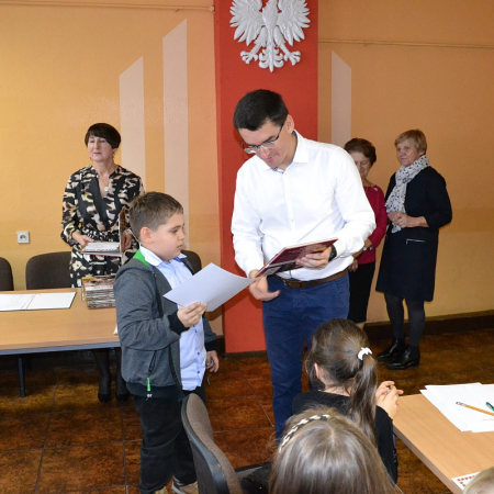 Wyświetl org. rozmiar