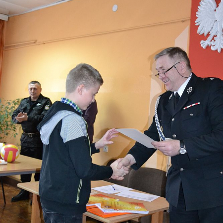 Wyświetl org. rozmiar