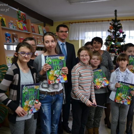 Wyświetl org. rozmiar