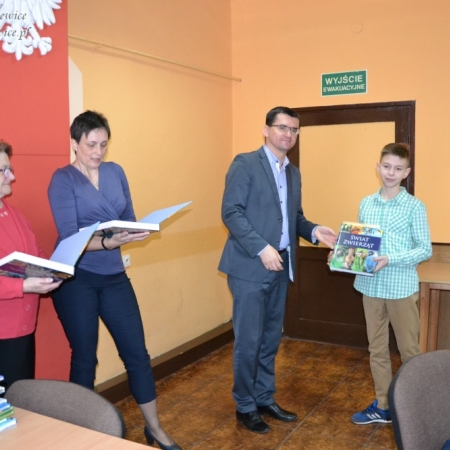 Wyświetl org. rozmiar