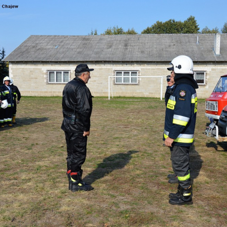 Wyświetl org. rozmiar