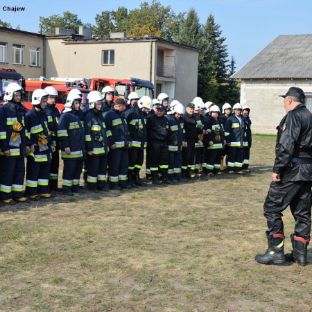 Wyświetl org. rozmiar