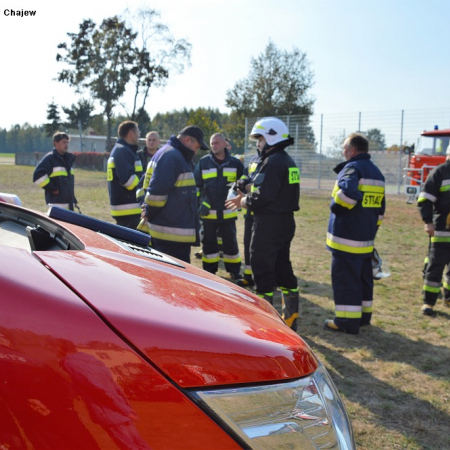 Wyświetl org. rozmiar