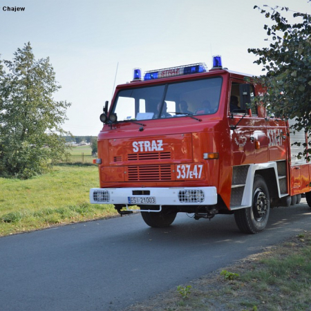 Wyświetl org. rozmiar