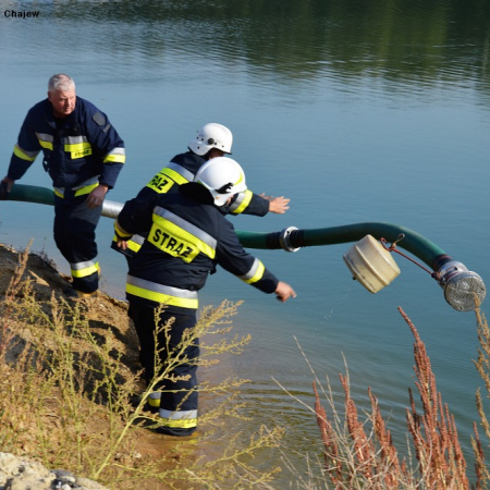 Wyświetl org. rozmiar