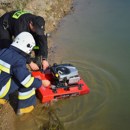 Wyświetl org. rozmiar