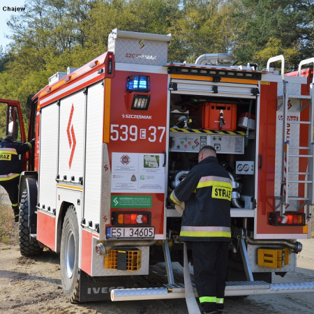 Wyświetl org. rozmiar