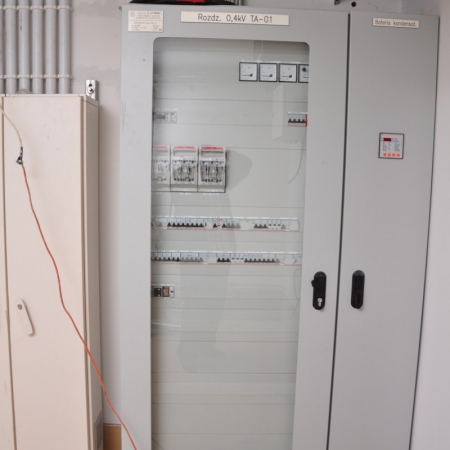 Wyświetl org. rozmiar