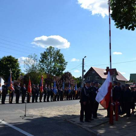 Wyświetl org. rozmiar