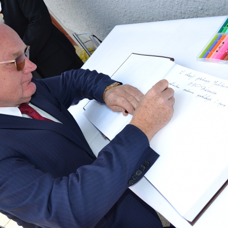 Wyświetl org. rozmiar