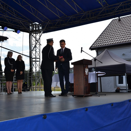 Wyświetl org. rozmiar