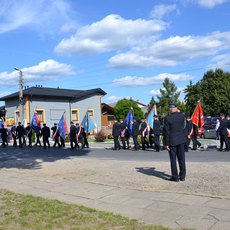 Wyświetl org. rozmiar