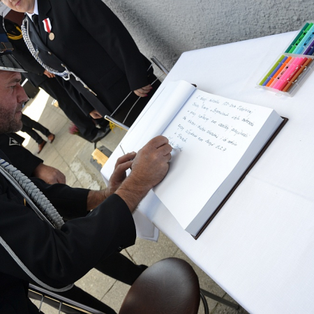 Wyświetl org. rozmiar