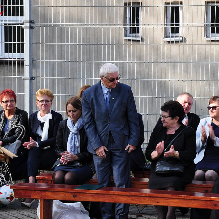 Wyświetl org. rozmiar