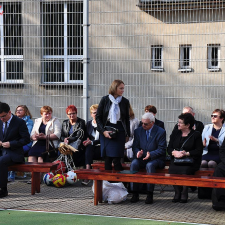 Wyświetl org. rozmiar