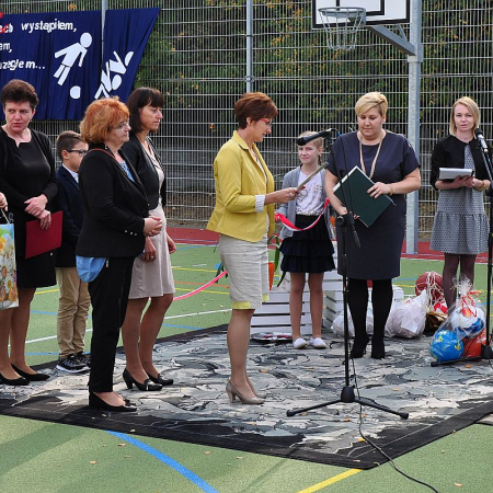 Wyświetl org. rozmiar