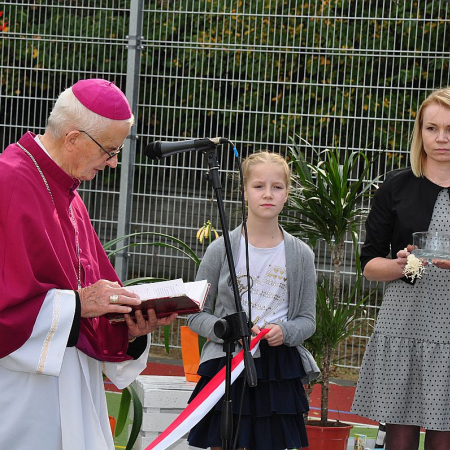 Wyświetl org. rozmiar