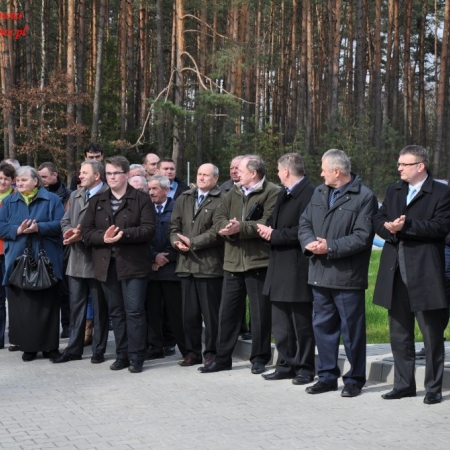 Wyświetl org. rozmiar