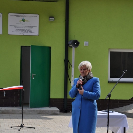 Wyświetl org. rozmiar