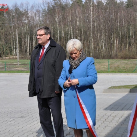 Wyświetl org. rozmiar