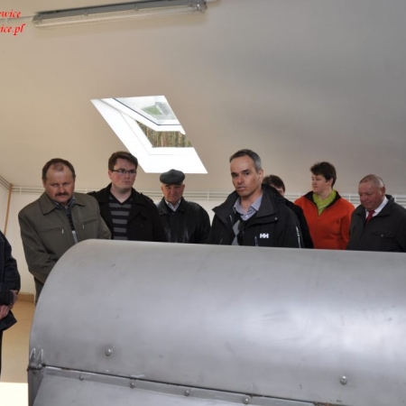 Wyświetl org. rozmiar