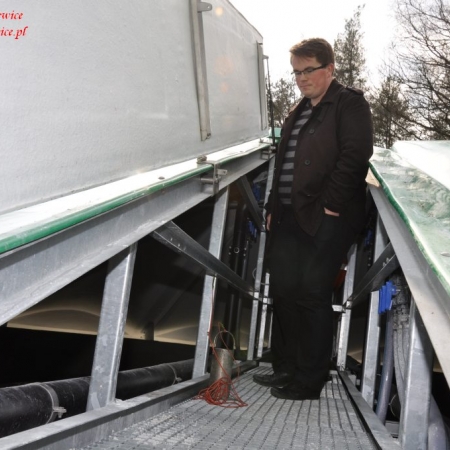 Wyświetl org. rozmiar