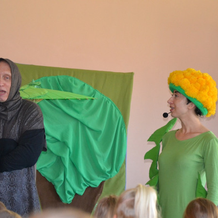 Wyświetl org. rozmiar