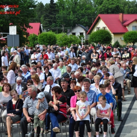 Wyświetl org. rozmiar