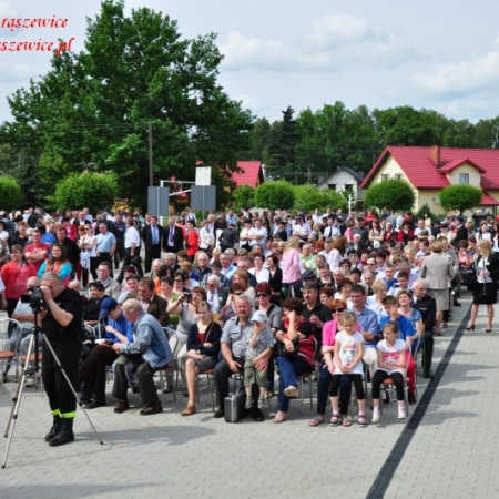 Wyświetl org. rozmiar