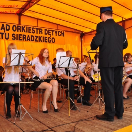 Wyświetl org. rozmiar