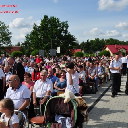 Wyświetl org. rozmiar