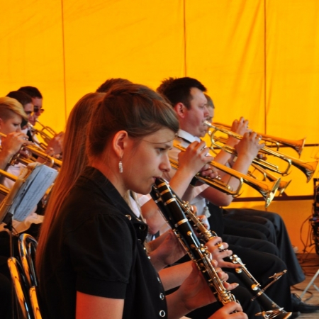 Wyświetl org. rozmiar