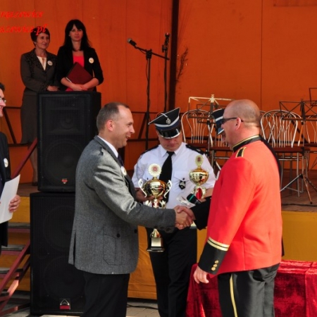 Wyświetl org. rozmiar