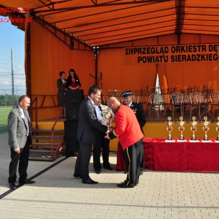 Wyświetl org. rozmiar