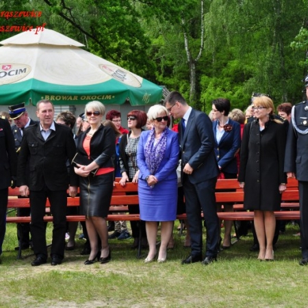 Wyświetl org. rozmiar