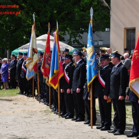 Wyświetl org. rozmiar