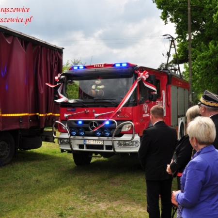 Wyświetl org. rozmiar