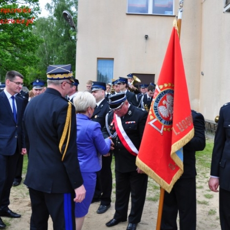 Wyświetl org. rozmiar