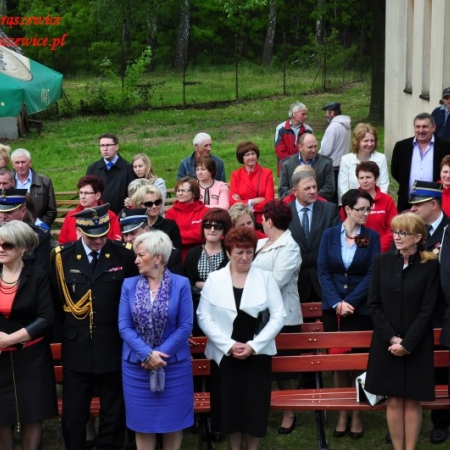 Wyświetl org. rozmiar