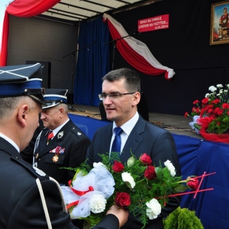 Wyświetl org. rozmiar