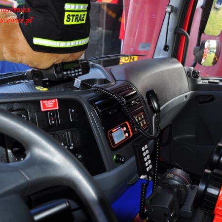 Wyświetl org. rozmiar