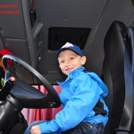 Wyświetl org. rozmiar