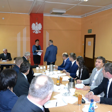 Wyświetl org. rozmiar