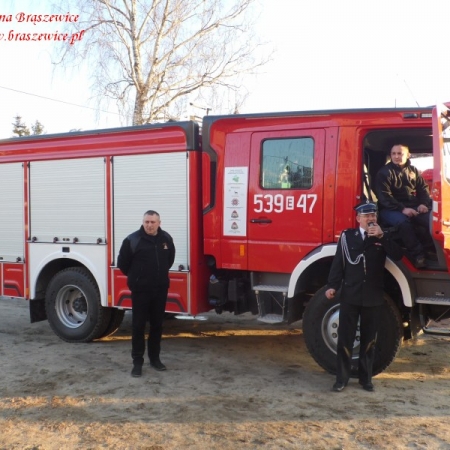 Wyświetl org. rozmiar