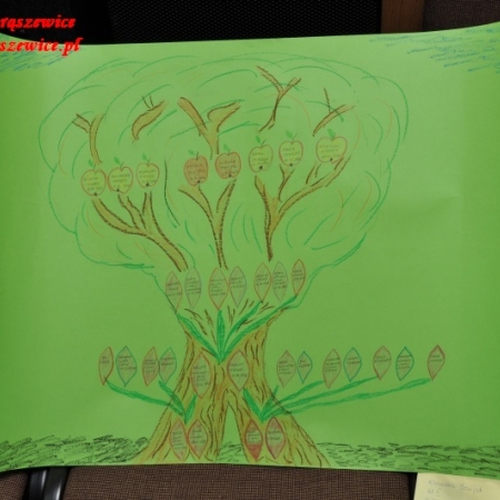 Wyświetl org. rozmiar