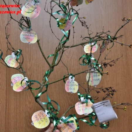 Wyświetl org. rozmiar