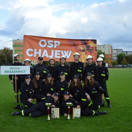 Wyświetl org. rozmiar