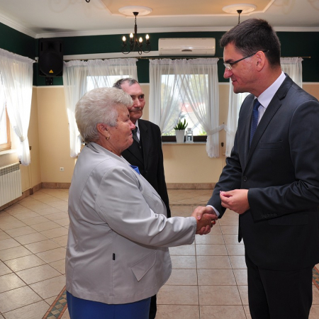 Wyświetl org. rozmiar