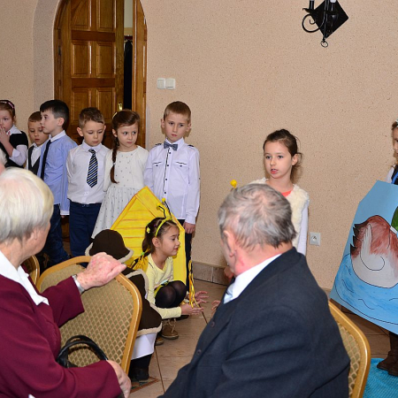 Wyświetl org. rozmiar