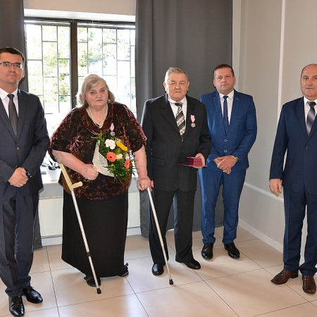 Wyświetl org. rozmiar